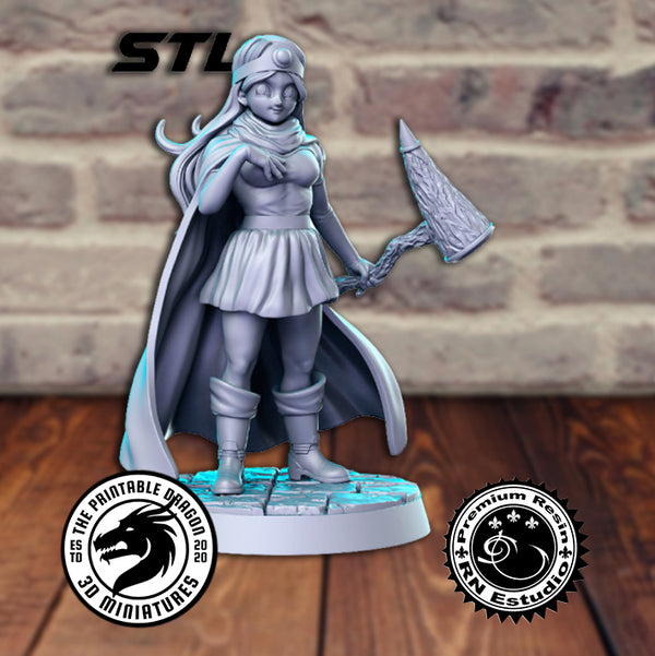 Dq_Sage 3D-printed model