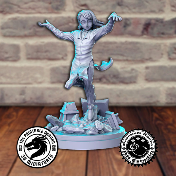 Ds_Enmu 3D-printed model