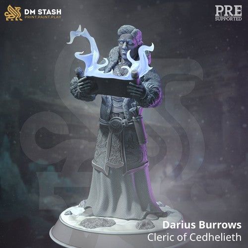 Darius Burrows Cleric Of Cedhelieth - The Printable Dragon