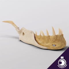 Devil's Mandible - The Printable Dragon