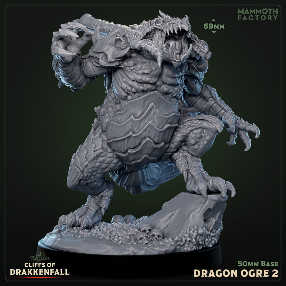 Dragon Ogres