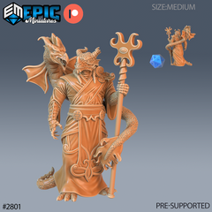 Dragonborn Priest 3D-printed model