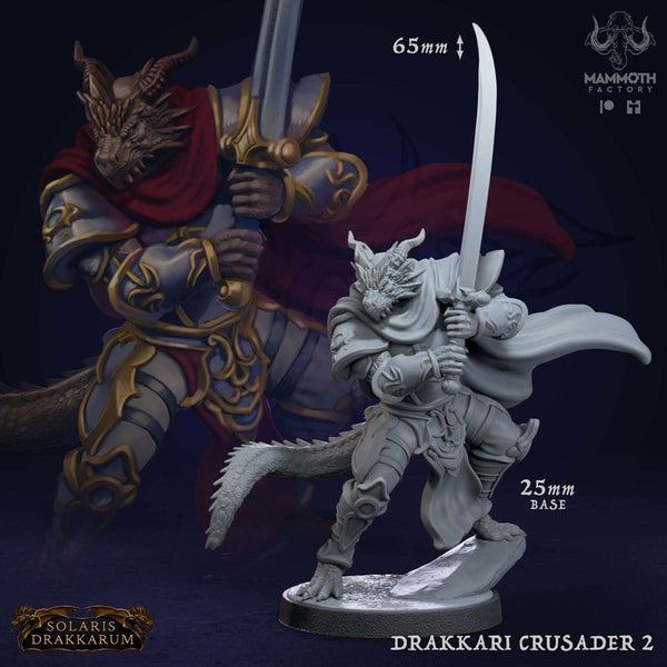 Drakkari Crusader 3D-printed model