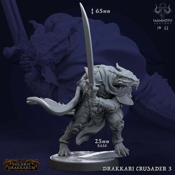 Drakkari Crusader 3D-printed model