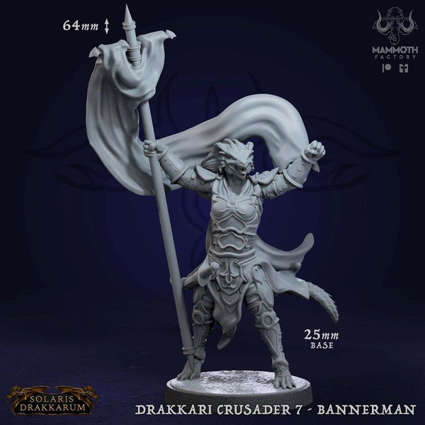 Drakkari Crusader 3D-printed model