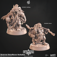 Dwarven Stoneflower Herbalist 3D-printed model