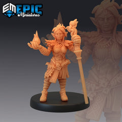 Elf Druid - Player 3D-printed model