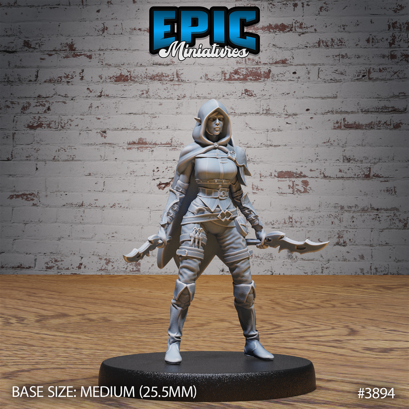 Elf Guild Rogue 3D-printed model