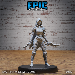 Elf Guild Rogue 3D-printed model