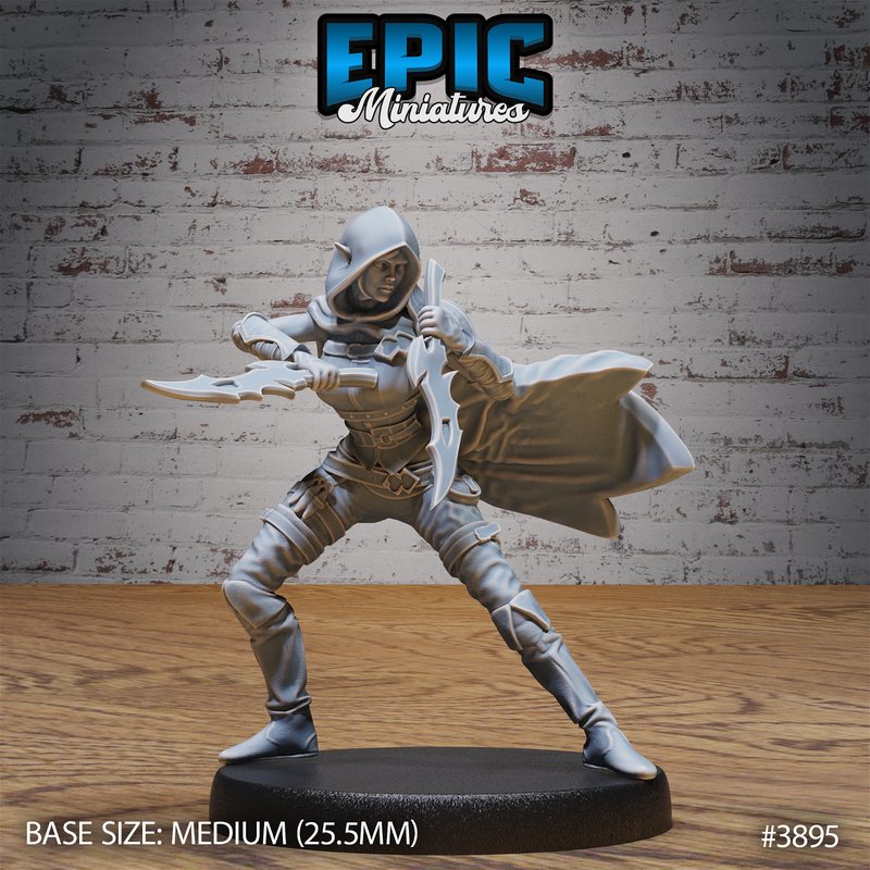 Elf Guild Rogue 3D-printed model