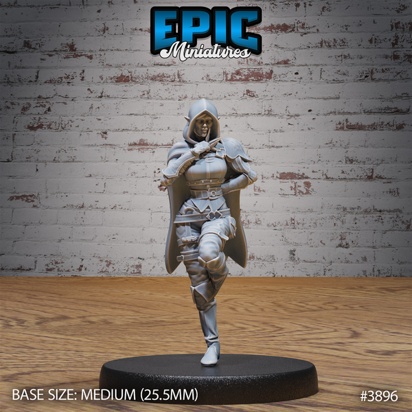 Elf Guild Rogue 3D-printed model