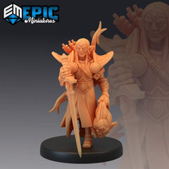 Elf Paladin - Player