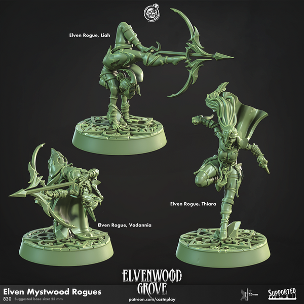 Elven Mystwood Rogues 3D-printed model