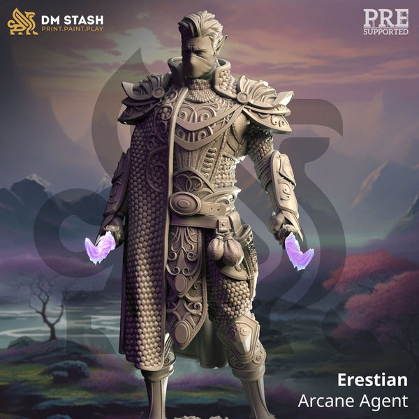 Erestian Arcane Agent 3D-printed model