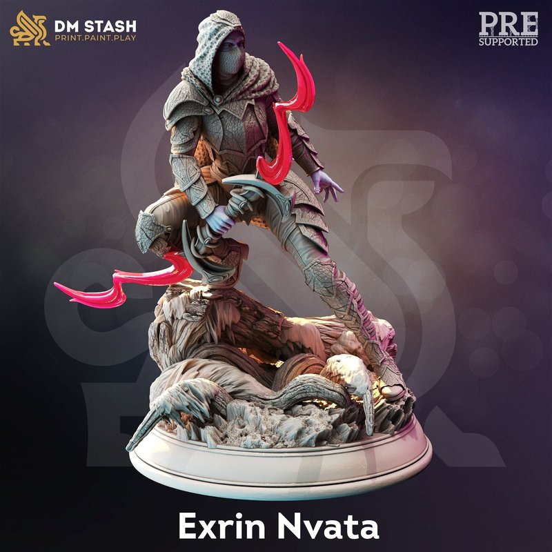 Exrin Nvata 3D-printed model