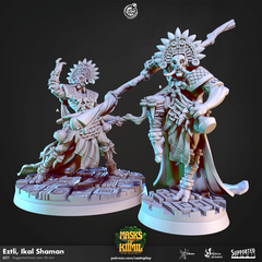 Eztli Ikal Shaman 3D-printed model