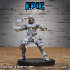 Fire Style Kung Fu Master 3D-printed model