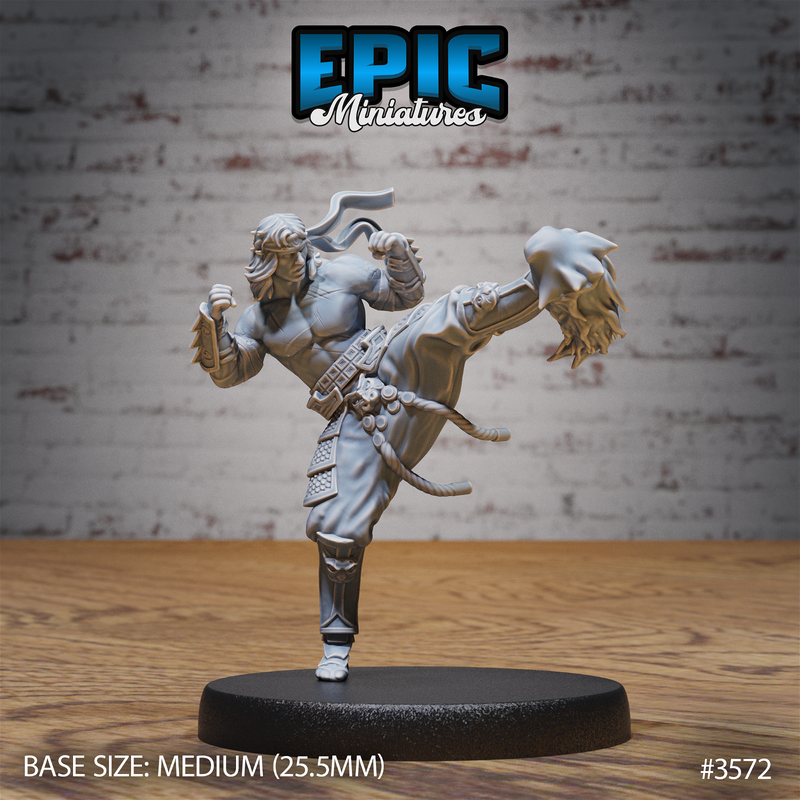 Fire Style Kung Fu Master 3D-printed model