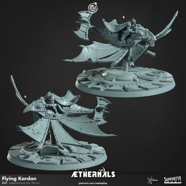 Flying Kardan 3D-printed model
