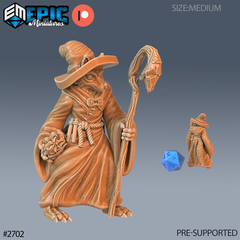 Fox Folk Tribe Wizard 3D-printed model