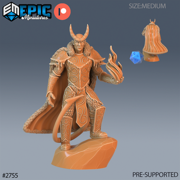 Frost Tiefling Paladin 3D-printed model