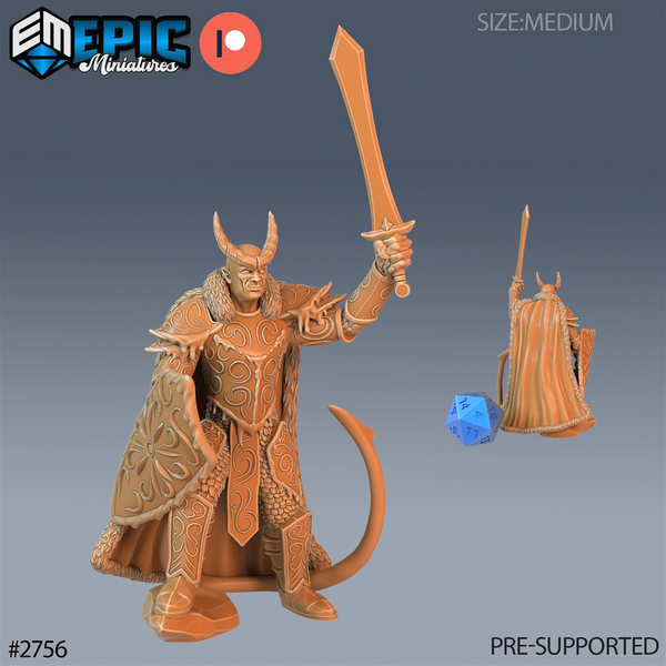 Frost Tiefling Paladin 3D-printed model