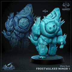 Frostwalker Minor