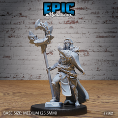 Guild Sorcerer 3D-printed model