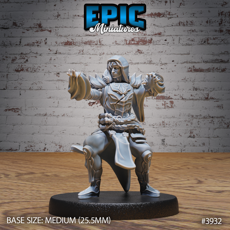 Guild Sorcerer 3D-printed model