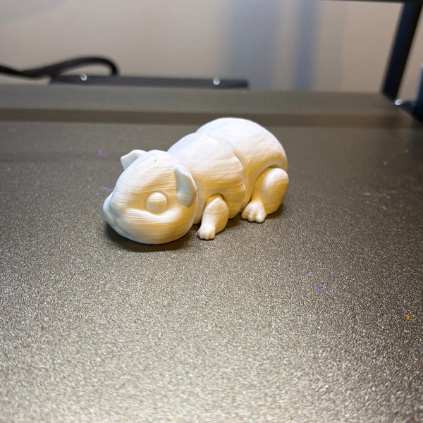 Guinea Pig 3D-printed model