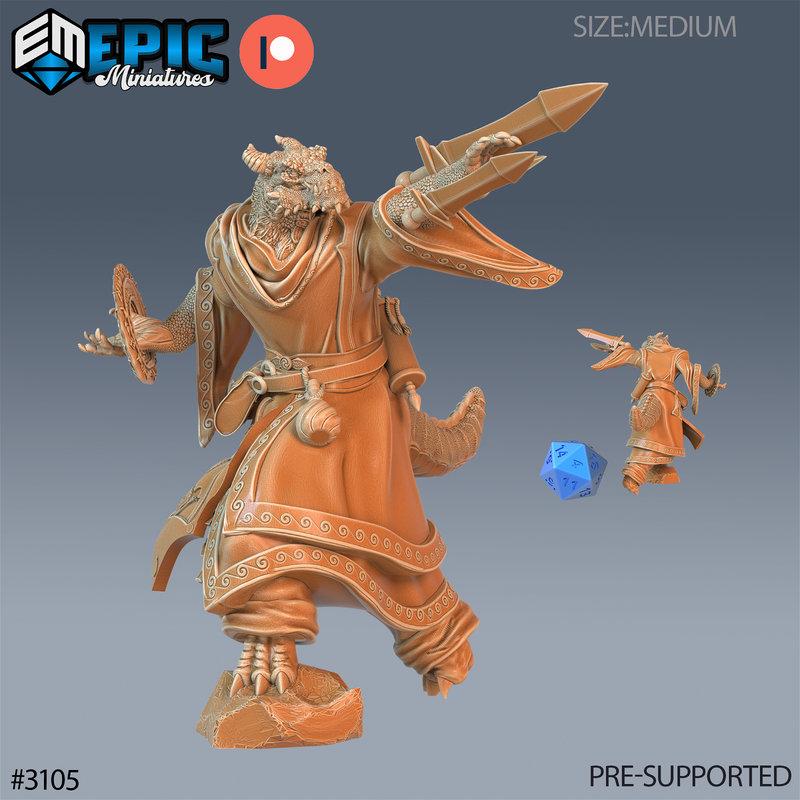 Half Dragon Sorcerer 3D-printed model