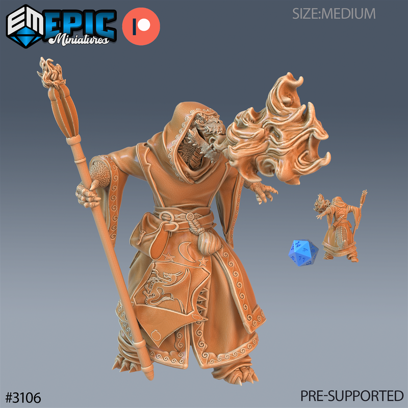 Half Dragon Sorcerer 3D-printed model