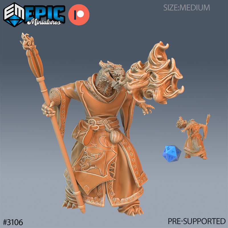 Half Dragon Sorcerer 3D-printed model