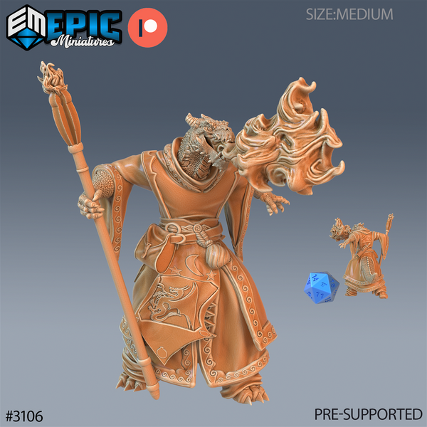Half Dragon Sorcerer 3D-printed model
