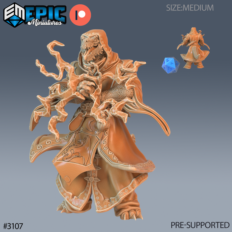 Half Dragon Sorcerer 3D-printed model