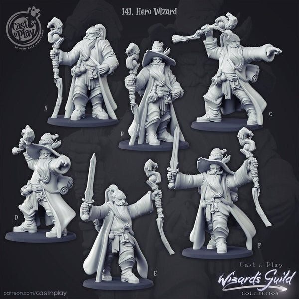 Hero Wizard 3D-printed model