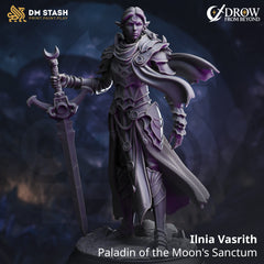 Ilnia Vasrith - Paladin of the Moon_s Sanctum