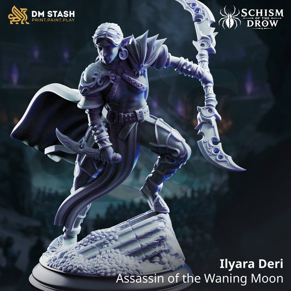 Ilyara Deri - Assassin of the Waning Moon
