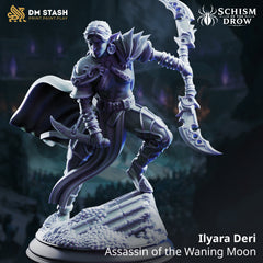 Ilyara Deri - Assassin of the Waning Moon