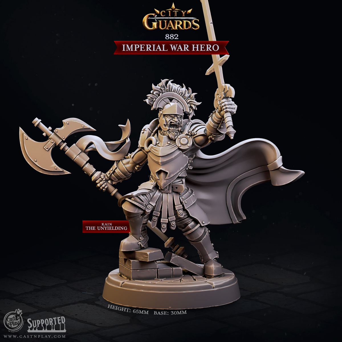 Imperial War Hero 3D-printed model
