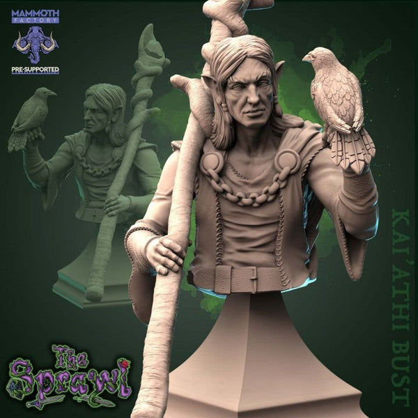 Ka'athi Bust 3D-printed model