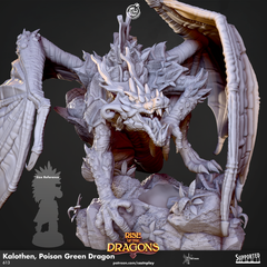 Kalothen, Poison Green Dragon 3D-printed model