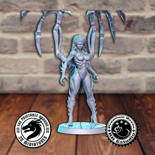 Kerrigan 3D-printed model