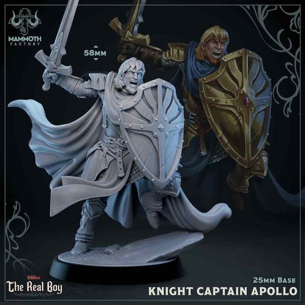 Knight Captain Apollo 3D-printed model