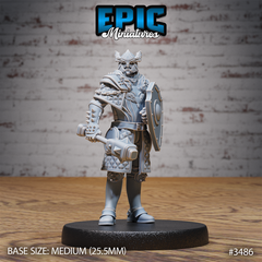 Knight Sir Rollant 3D-printed model