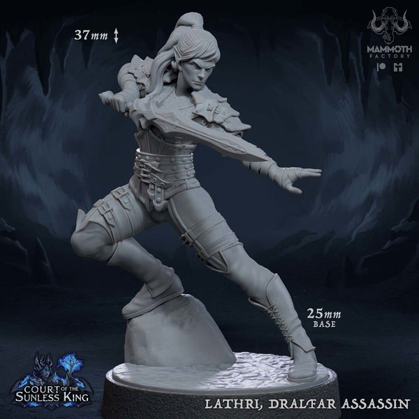 Lathri Dralfar Assassin 3D-printed model