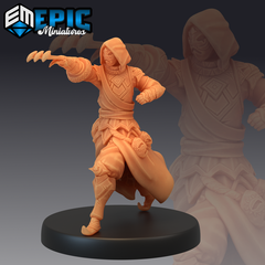 Masked Assassin 3D-printed model