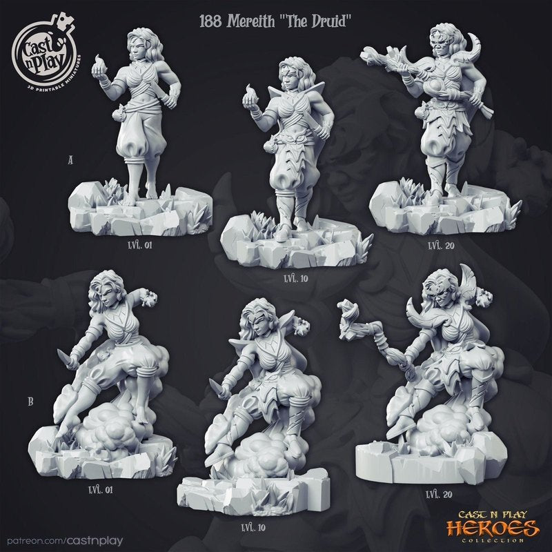 Mereith The Druid 3D-printed model
