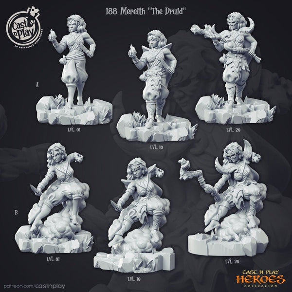 Mereith The Druid 3D-printed model