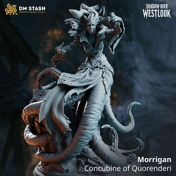 Morrigan - Concubine of Quorenderi